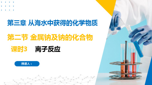3.2.3金属钠及钠的化合物(离子反应)(课件)高一化学(苏教版2019必修第一册)