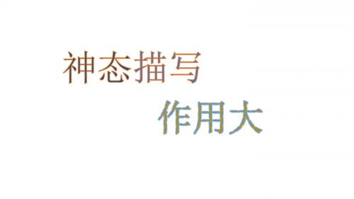 神态描写