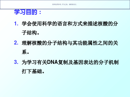 核酸的结构与功能