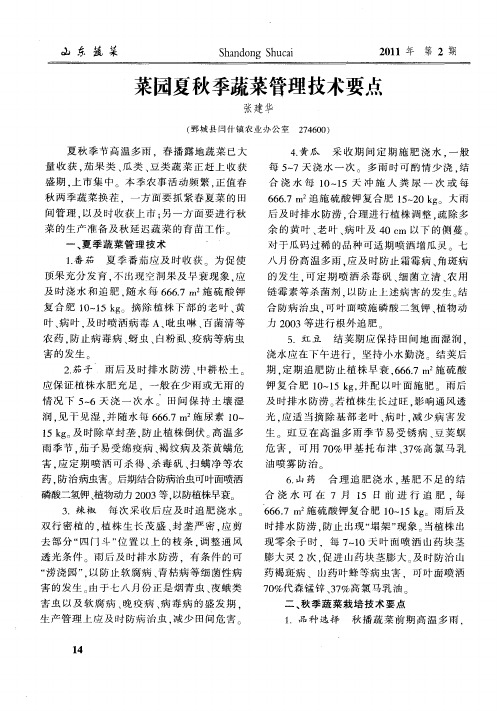 菜园夏秋季蔬菜管理技术要点
