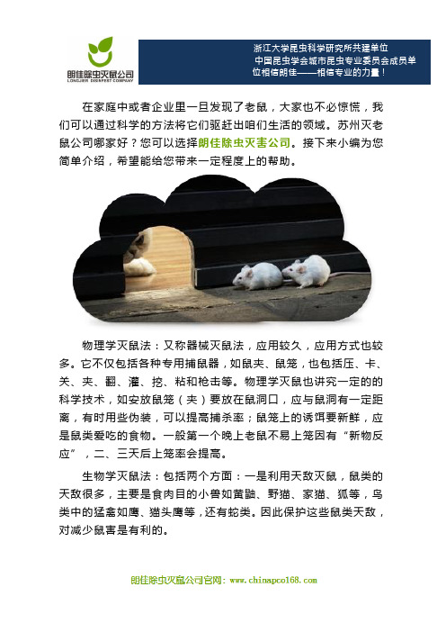 苏州灭老鼠公司