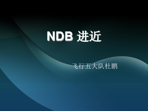 NDB 进近