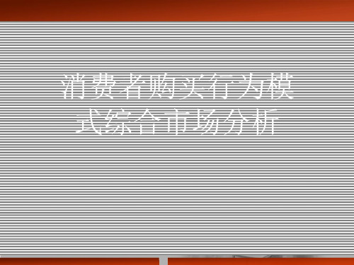 消费者购买行为模式综合市场分析