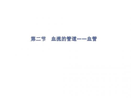 【初中生物】血流的管道——血管PPT课件17