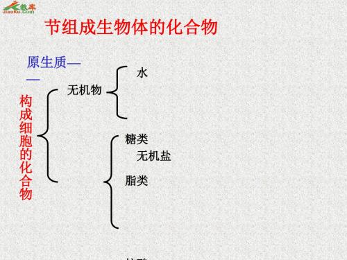 《组成生物体的化合物》PPT课件5 人教版