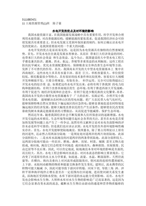 论水电开发