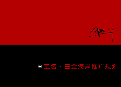 2019海南省文昌市宝名·白金海岸推广规划267p