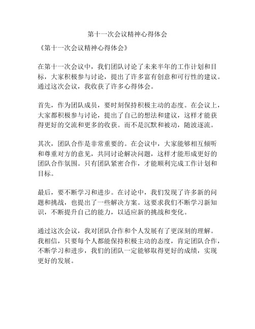 第十一次会议精神心得体会