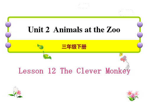 The Clever Monkey-Animals at the zoo ppt优秀课件