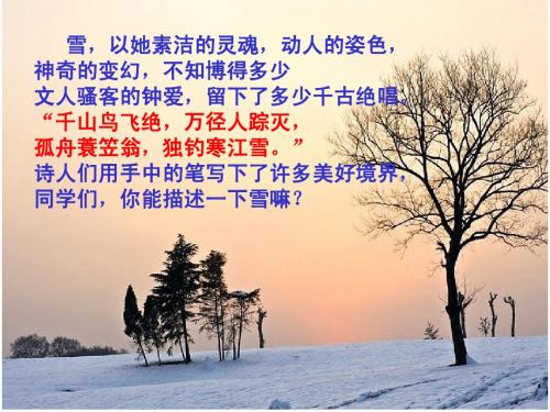 6《雪》课件.ppt