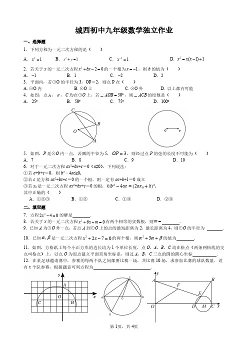 江苏省泰州市姜堰区城西实验学校2024-2025学年九年级上学期月考数学试卷