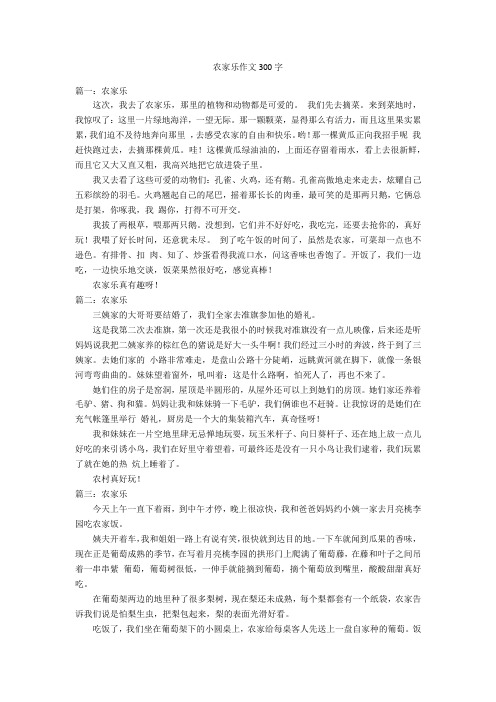 农家乐作文300字优秀作文