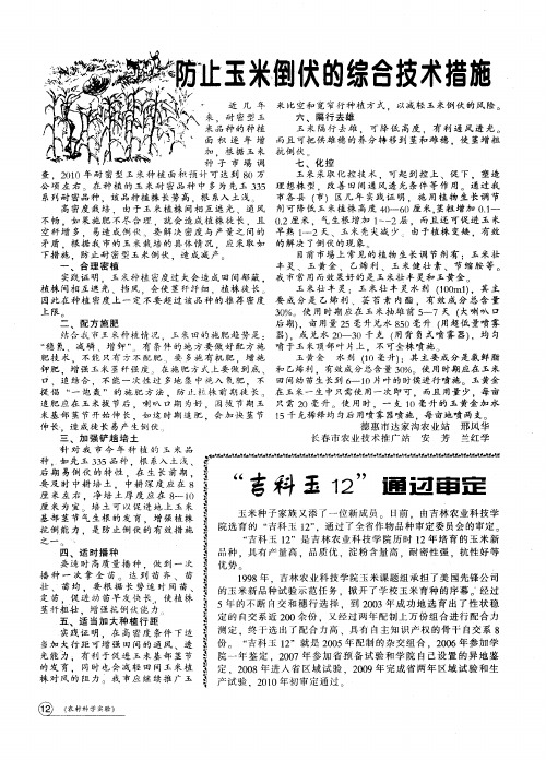 防止玉米倒伏的综合技术措施