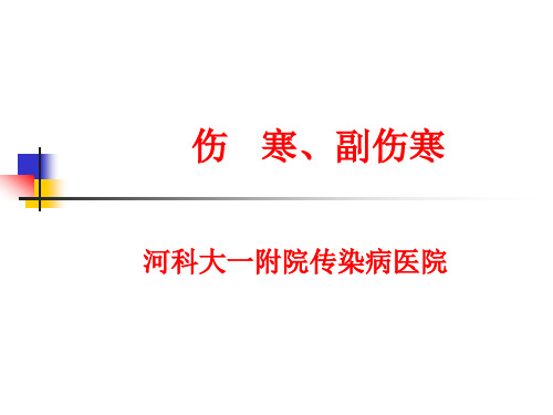 伤寒与副伤寒
