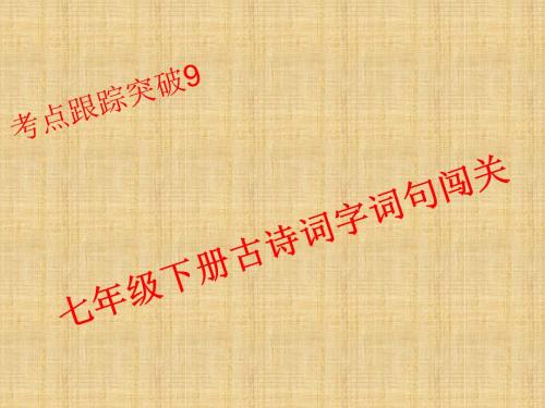 2016届中考语文考点跟踪突破复习课件27