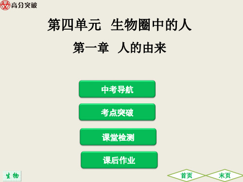 2019中考生物总复习 第四单元 生物圈中的人 第一章   人的由来