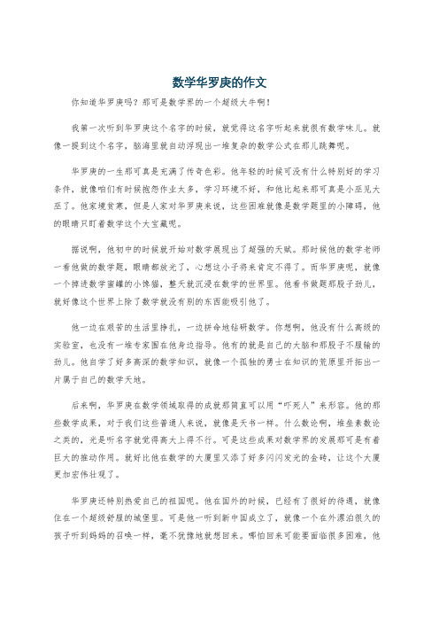 数学华罗庚的作文