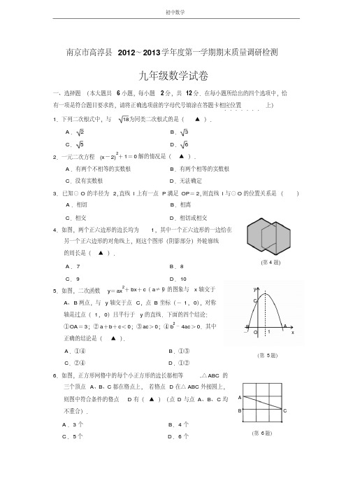 南京市高淳县2012-2013学年九年级(上)期末数学试题(含答案)