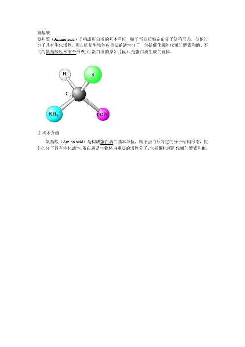 高中生物氨基酸