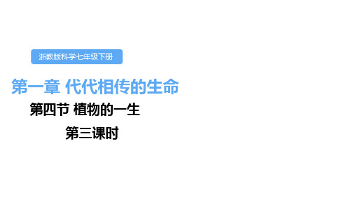 浙教版科学七下1.4.《植物的一生》第三课时课件