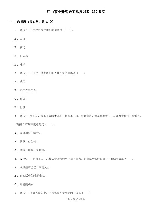 江山市小升初语文总复习卷(2)B卷