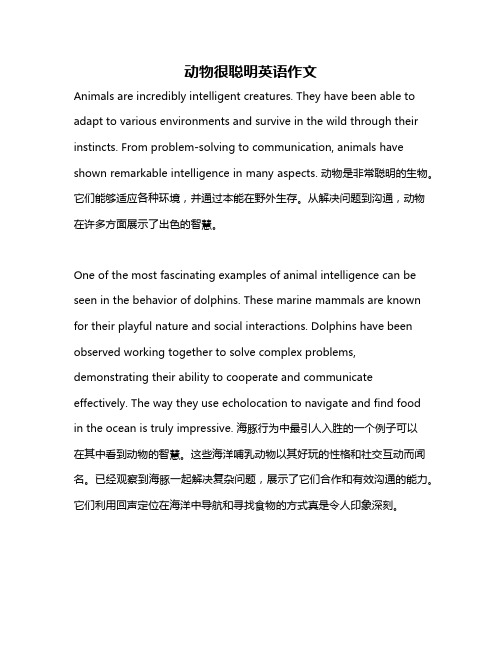 动物很聪明英语作文