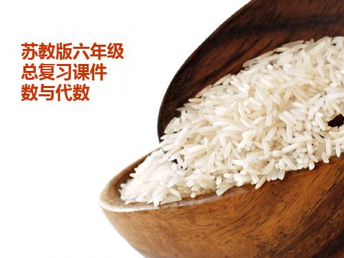 苏教版小学数学六年级总复习《数与代数》课件