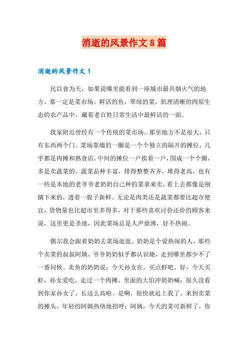 消逝的风景作文8篇