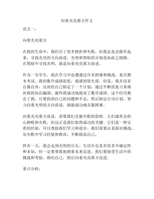 向着光亮那方作文