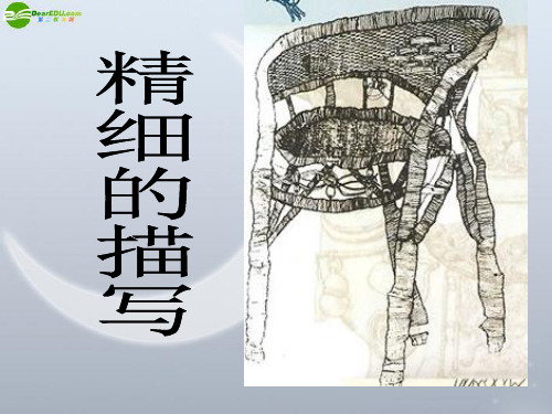 五年级美术下册_精细的描写课件_人美版