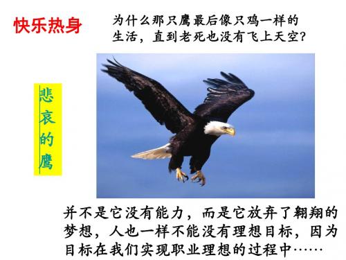 第六课时确定发展目标
