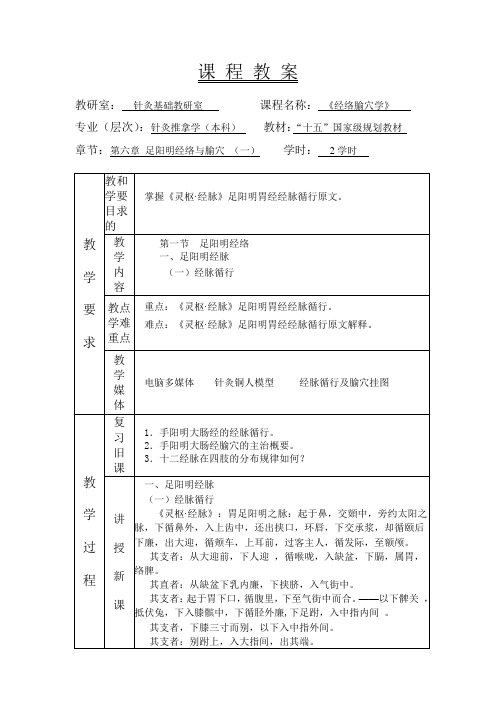 6-足阳明经络与腧穴