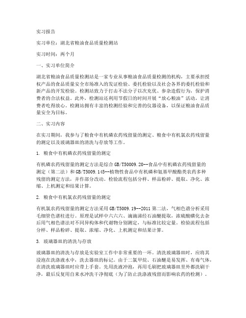 粮油检测站实习报告