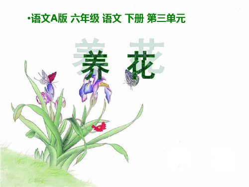 六年级下册语文课件-《养花》｜语文A版 (共15张PPT)