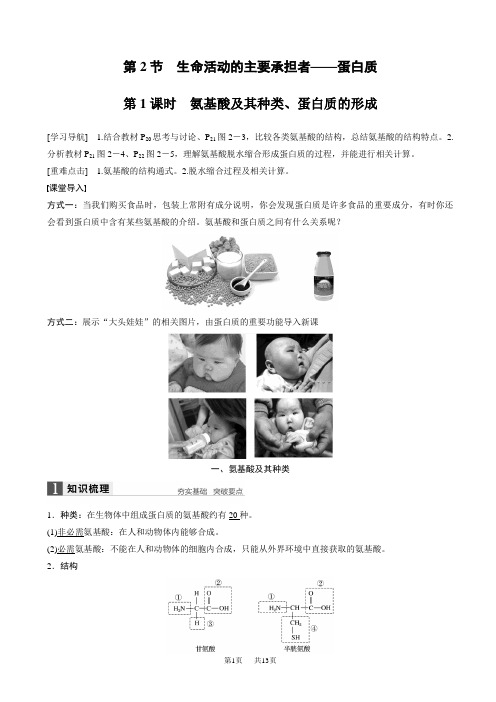 高中人教版生物高一必修一配套文档：第2章_第2节_第1课时_氨基酸及其种类、蛋白质的形成_word版含解析