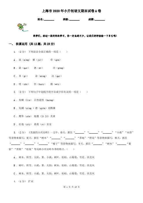 上海市2020年小升初语文期末试卷A卷(新版)