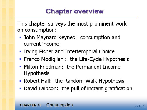宏观经济学之消费consumption(精品PPT课件共46页)