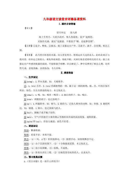 九年级语文读堂吉诃德备课资料