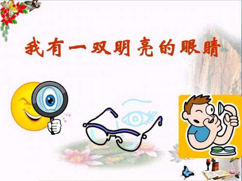 《我有一双明亮的眼睛》健康生活每一天 精品PPT课件4