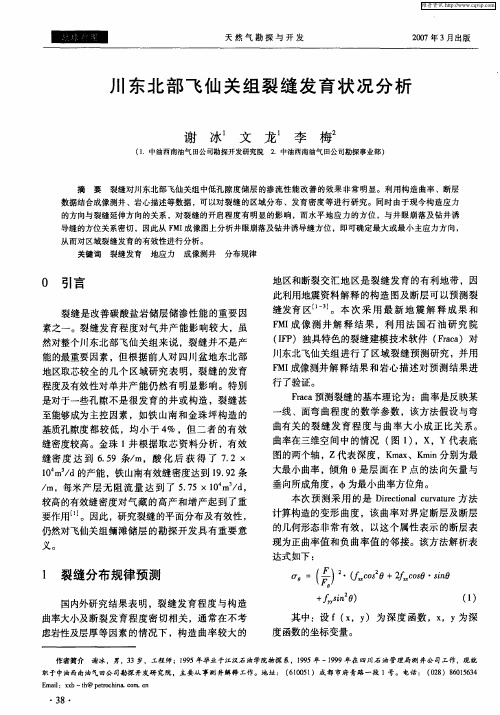 川东北部飞仙关组裂缝发育状况分析