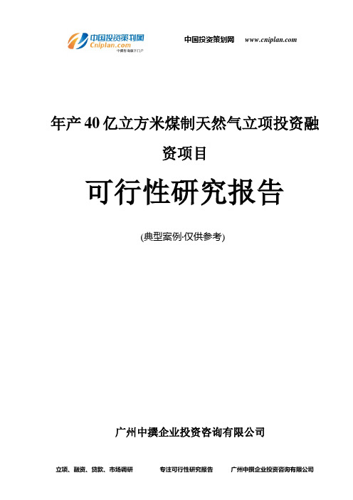 年产40亿立方米煤制天然气融资投资立项项目可行性研究报告(中撰咨询)