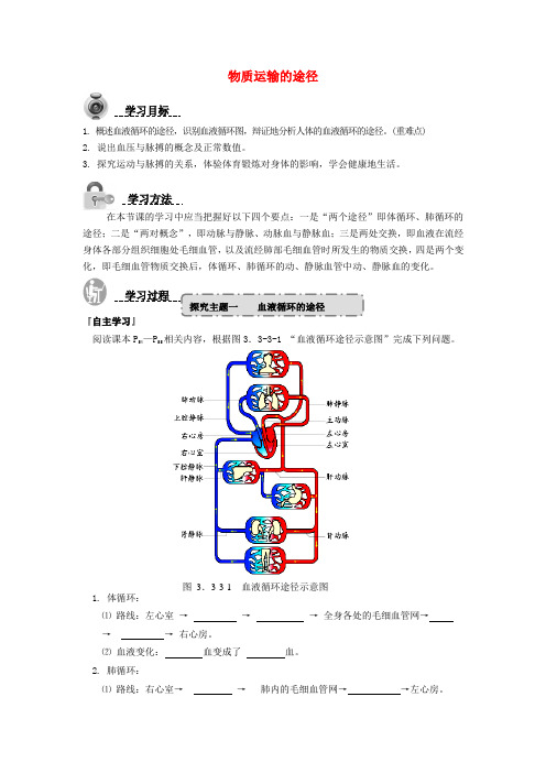 济南版-生物-七年级下册-3.3.3物质运输的途径导学案济南版