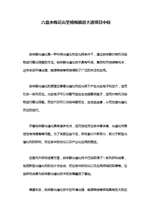 六盘水梅花山至杨梅旅游大道项目中标