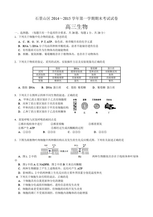 北京市石景山区2015届高三上学期期末考试生物试题(无答案)