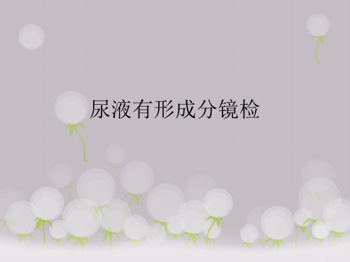 尿液有形成分镜检PPT课件