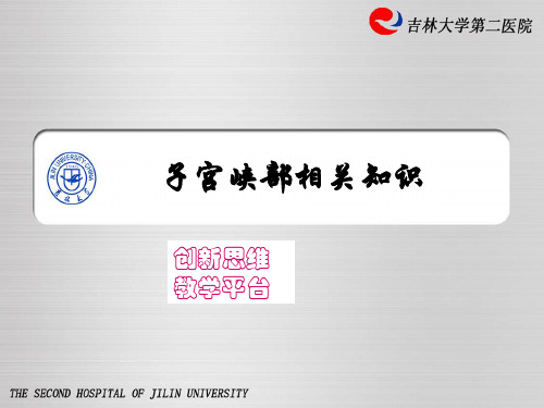 子宫峡部相关知识 ppt课件