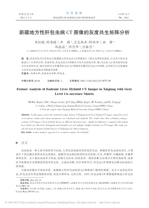 新疆地方性肝包虫病CT图像的灰度共生矩阵分析