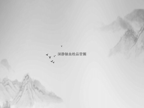 深静脉血栓品管圈ppt
