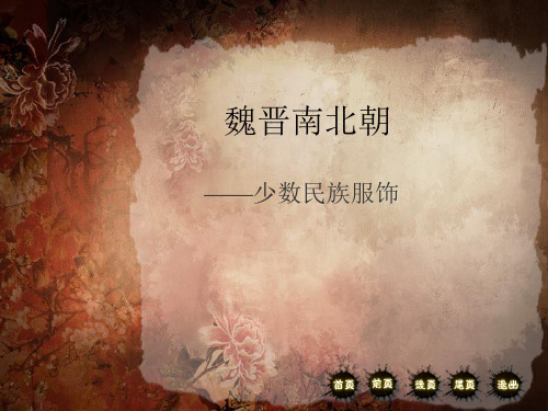 魏晋南北朝少数民族