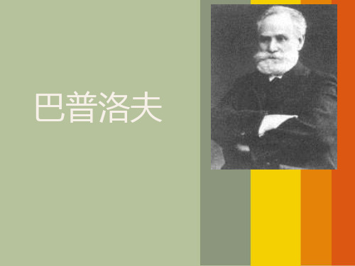 巴普洛夫